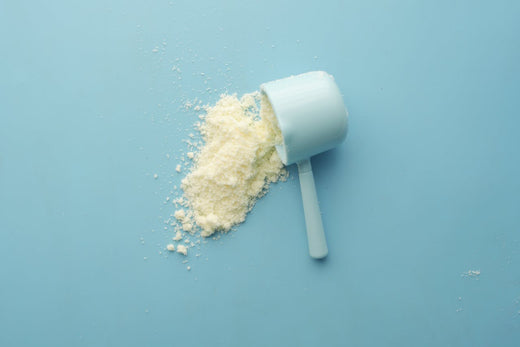Autumn Appetite Control: Balancing Holiday Treats with Cleanest Whey Protein Powder